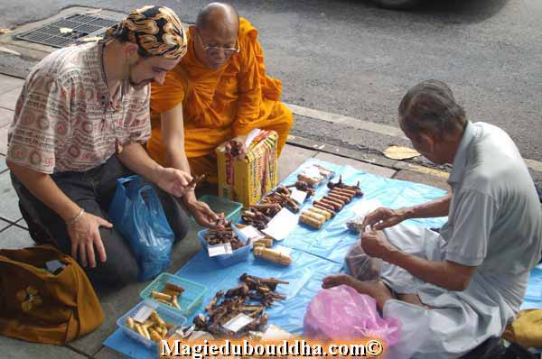 Moine thai avec ajarn sané.
